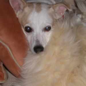 Meet your Posher, Linda